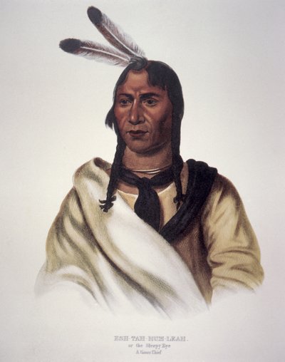 „Śpiące oko” autorstwa Charles Bird King
