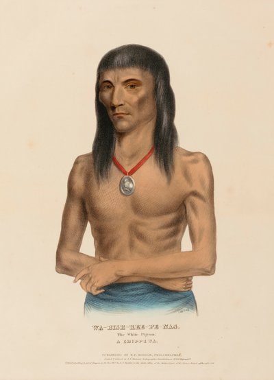 WA-BISH-KEE-PE-NAS. Biały Gołąb. A CHIPPEWA, z Historii plemion indiańskich Ameryki Północnej autorstwa Charles Bird King