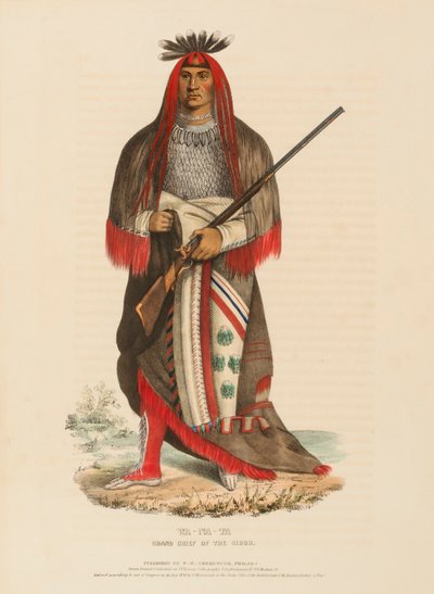 WA-NA-TA. GRAND CHIEF OF THE SIOUX, z Historii plemion indiańskich Ameryki Północnej autorstwa Charles Bird King