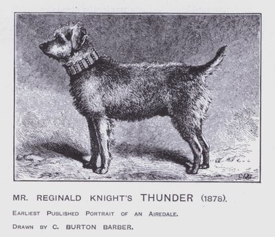 Piorun pana Reginalda Knighta autorstwa Charles Burton (after) Barber