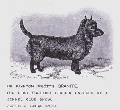 Granit Sir Payntona Pigtta (lito) autorstwa Charles Burton (after) Barber