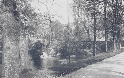Bordeaux: Jardin-Public, most rustykalny (zdjęcie czarno-białe) autorstwa Charles Chambon