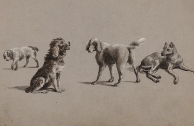 Badania psów (długopis, pędzel, tusz i gwasz na papierze) autorstwa Charles Cooper Henderson