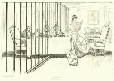 Ilustracja do drabiny społecznej autorstwa Charles Dana Gibson