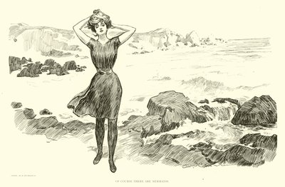 Ilustracja do drabiny społecznej autorstwa Charles Dana Gibson