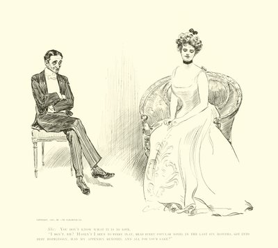 Ilustracja do drabiny społecznej autorstwa Charles Dana Gibson