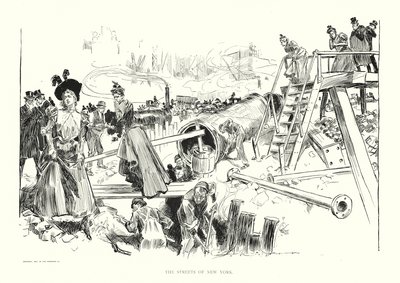 Ulice Nowego Jorku (litografia) autorstwa Charles Dana Gibson