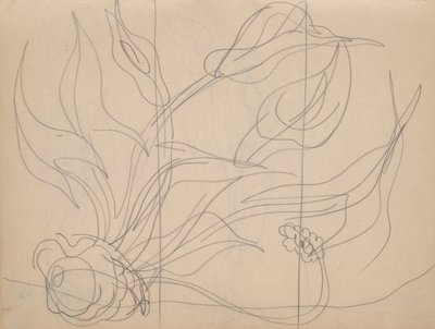 Szkicownik: łącznie 36 stron, zawierający 28 szkiców (w tym opracowania dla Demutha autorstwa Charles Demuth