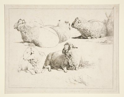 Owce na pastwisku autorstwa Charles Echard