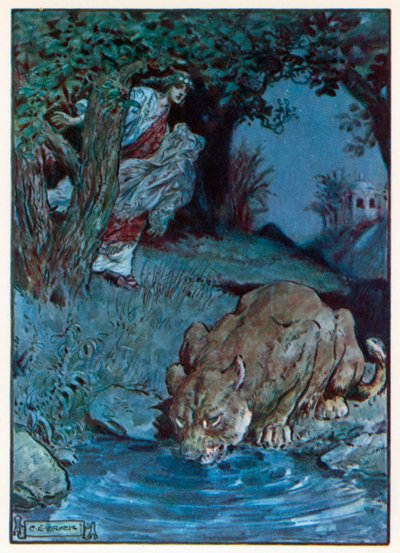  autorstwa Charles Edmund (after) Brock