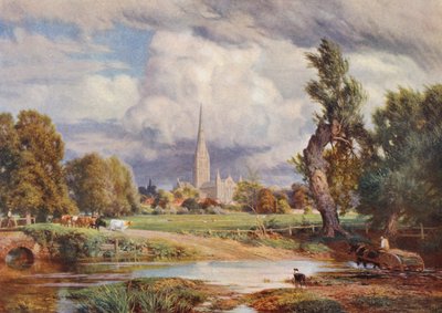 Katedra w Salisbury (kolorowa litografia) autorstwa Charles Edward Johnson
