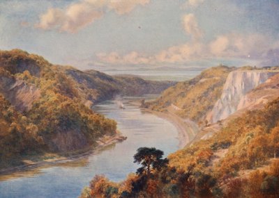 Avon w Bristolu (kolorowa litografia) autorstwa Charles Edward Johnson
