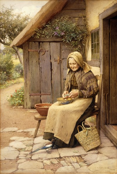 Drobnoopierzony przyjaciel (w/c na papierze) autorstwa Charles Edward Wilson