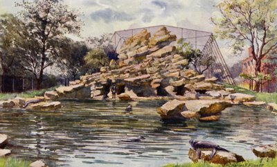 Londyńskie zoo: staw lwów morskich (kolor lito) autorstwa Charles Edwin Flower
