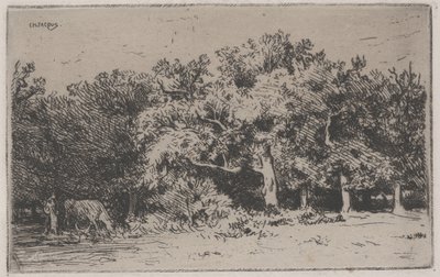 Zakątek lasu Fontainebleau (akwaforta) autorstwa Charles Emile Jacque