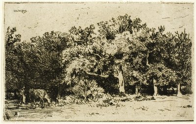 Część lasu Fontainebleau autorstwa Charles Emile Jacque