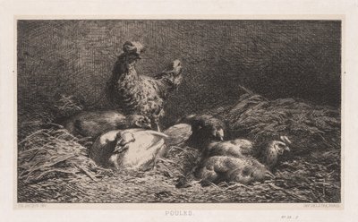 Kurczaki autorstwa Charles Emile Jacque