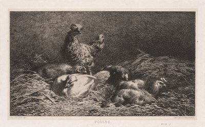 Kurczaki Poutes, 1867. autorstwa Charles Emile Jacque