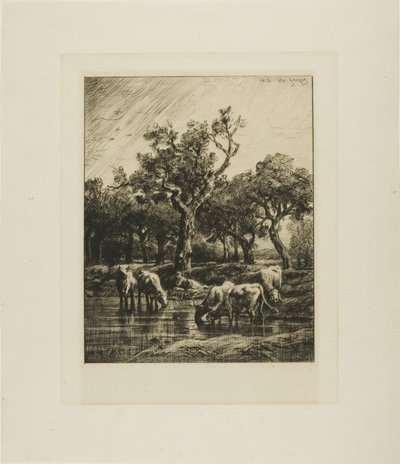 Krowy w wodopoju autorstwa Charles Emile Jacque