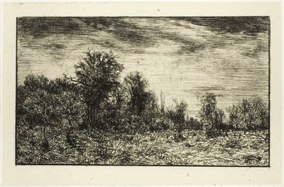 Edge of the Wood, pod zachmurzonym niebem autorstwa Charles Emile Jacque