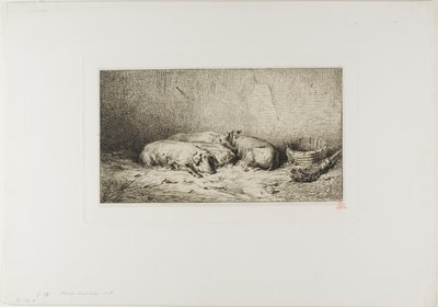 Cztery śpiące świnie autorstwa Charles Emile Jacque