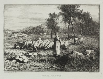 Stado świń autorstwa Charles Emile Jacque