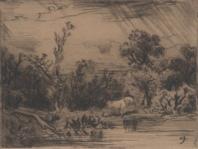 Krajobraz z burzą, 1848. autorstwa Charles Emile Jacque