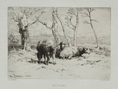 Owce, 1868. autorstwa Charles Emile Jacque