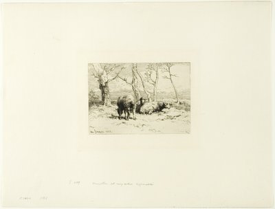 Owce i pięć drzew autorstwa Charles Emile Jacque