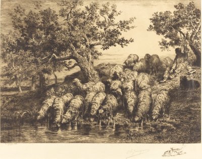 Owce w wodopoju autorstwa Charles Emile Jacque