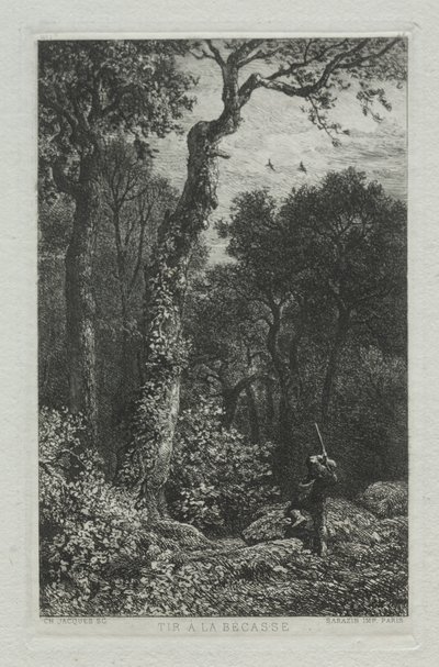 Strzelanie do słonki. autorstwa Charles Emile Jacque