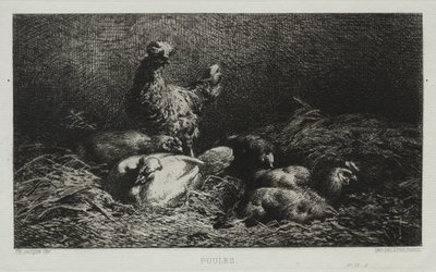 Kurczaki. autorstwa Charles Emile Jacque