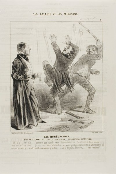 Homeopaci: Drugie leczenie (płyta 5) autorstwa Charles Emile Jacque