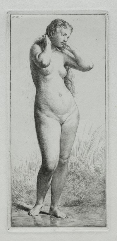 Młoda kobieta w kąpieli autorstwa Charles Emile Jacque
