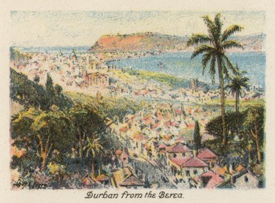 Republika Południowej Afryki: Durban z Berei (kolorowa litografia) autorstwa Charles Ernest Peers