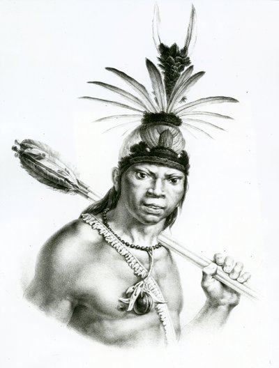 Wódz Camacan Montoyo z „Pittoresque and Historical Trip to Brazil” Jean Baptist Debret, 1834 autorstwa Charles Etienne Pierre Motte