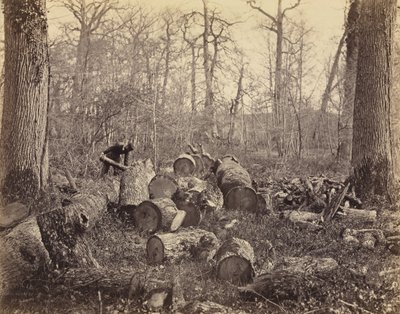 Las Fontainebleau autorstwa Charles Famin