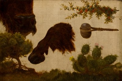 Studium dla „The Wounded Buffalo”: szałwia górska, głowa i kopyto bawoła, jagoda byka, kamienny topór i kaktus… autorstwa Charles Ferdinand Wimar