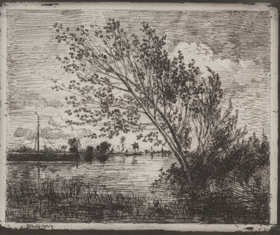 Grono Olch, nadruk oryginalny 1862, wydrukowany w 1921 r. autorstwa Charles Francois Daubigny