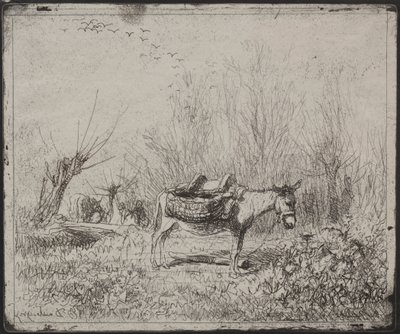 Osioł w polu, oryginalny nadruk 1862, wydrukowany w 1921 r. autorstwa Charles Francois Daubigny