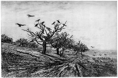 Krucze Drzewo, 1840-1875, 1924 autorstwa Charles Francois Daubigny