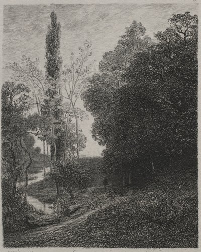 Brzegi rzeki Cousin autorstwa Charles Francois Daubigny