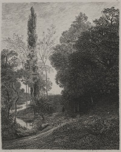 Brzegi rzeki kuzyn, 1850. autorstwa Charles Francois Daubigny