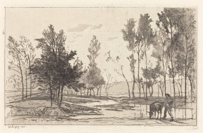 Osioł w wodopoju autorstwa Charles Francois Daubigny
