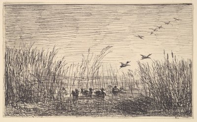 Kaczki na bagnach, [1862], przedruk 1921. autorstwa Charles Francois Daubigny