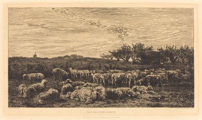 Duża owczarnia autorstwa Charles Francois Daubigny