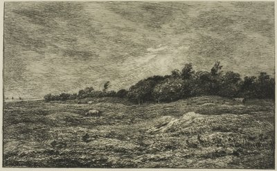 Pre des Graves w Villerville (Calvados) autorstwa Charles Francois Daubigny