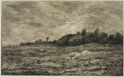 Pre des Graves w Villerville (Calvados) autorstwa Charles Francois Daubigny