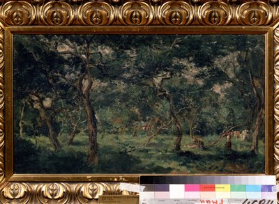 „Oliwny gaj” (Oliwny sad) Obraz Charlesa Francois Daubigny (1817-1878) 1870-1873 Muzeum Puszkina, Moskwa autorstwa Charles Francois Daubigny
