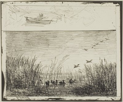 Bagno z Kaczkami autorstwa Charles Francois Daubigny